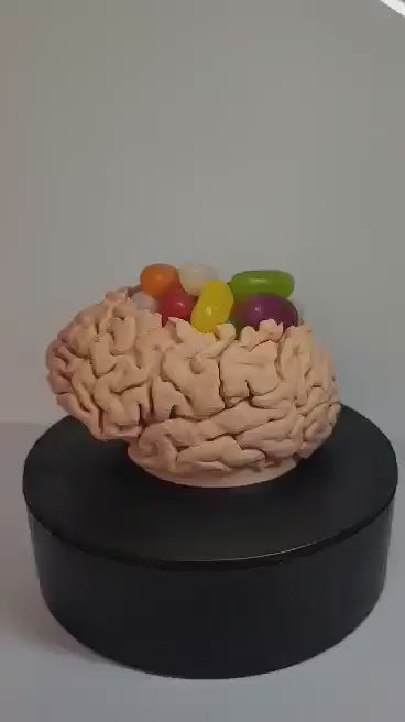 ERYONE Matte PLA Filament, 1.75mm Filament for 3D Printer, 1KG(2.2LBS)/ Spool,(SKIN &RED WAX &ARMY GREEN)-eryone3d